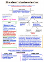 Neural Control and Coordination .pdf